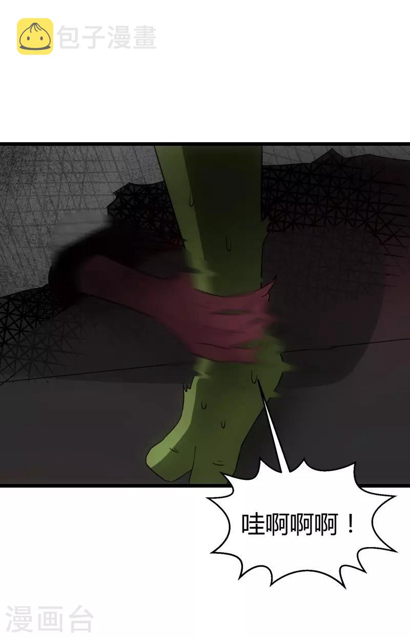 第48话 战霄的秘密12