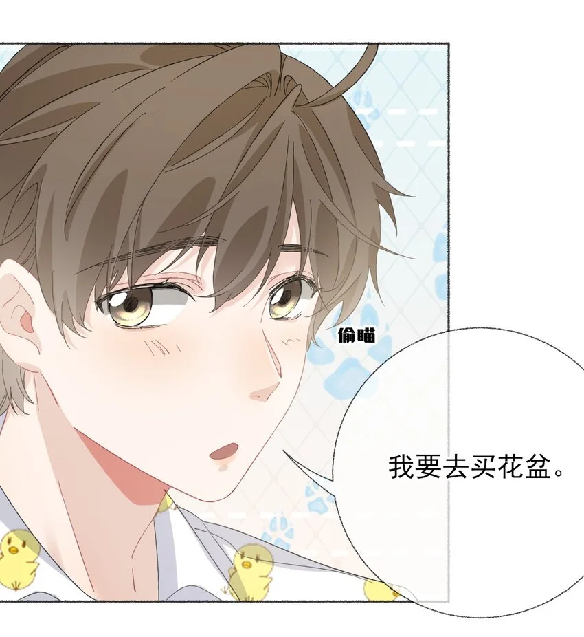 039那棵树好看吗？10