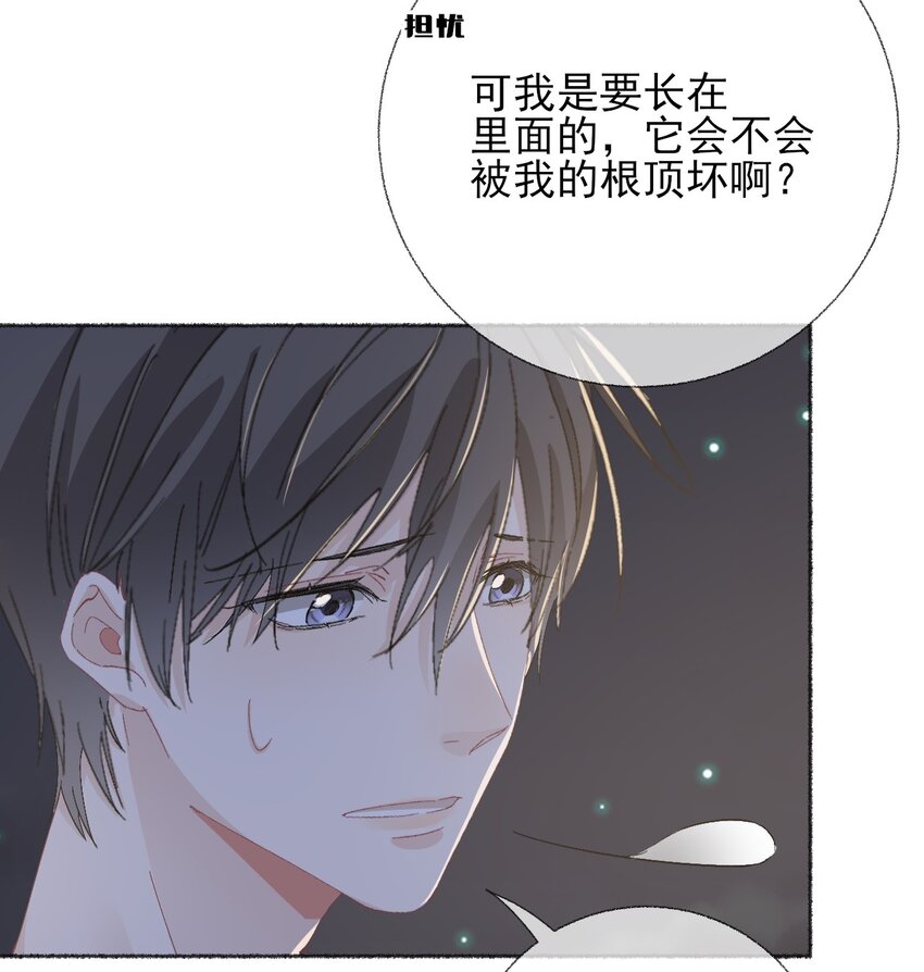 048 花盆“死”了32