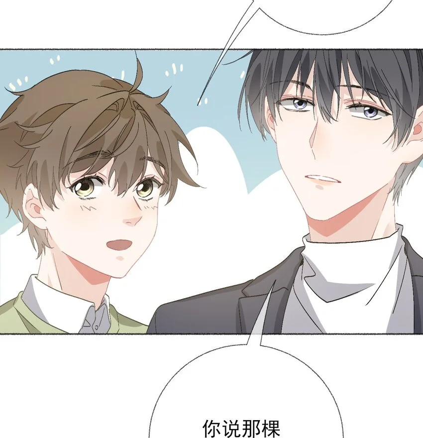 039那棵树好看吗？44