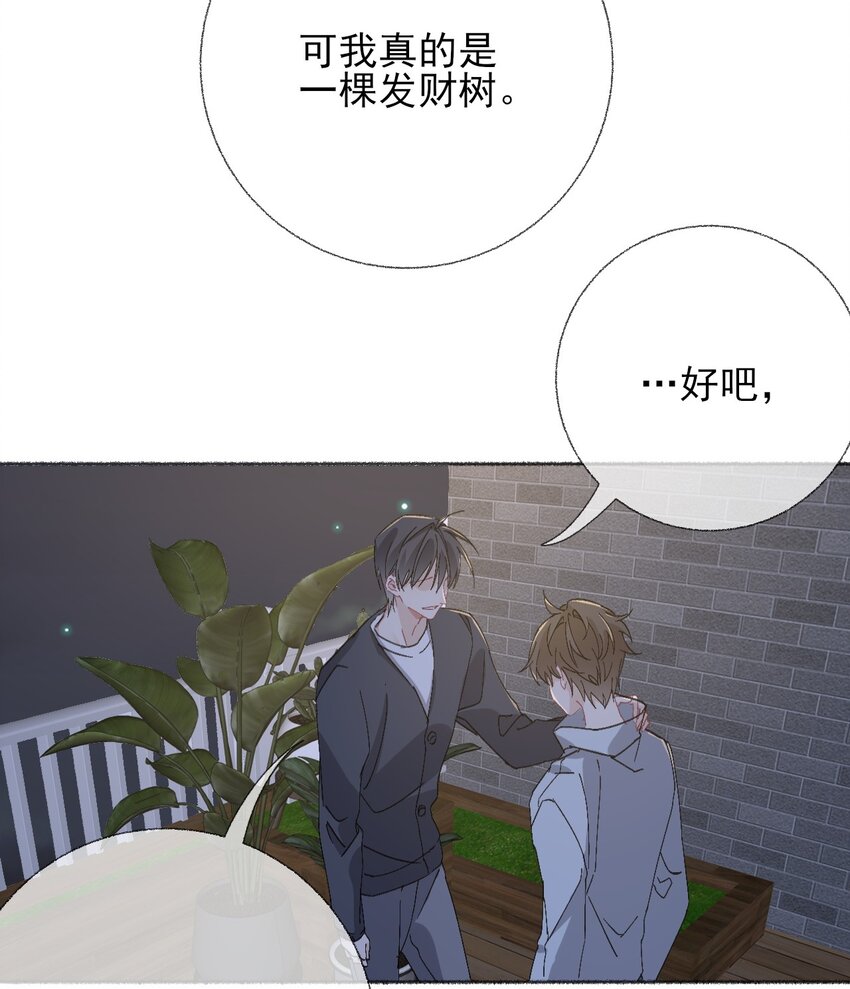048 花盆“死”了37