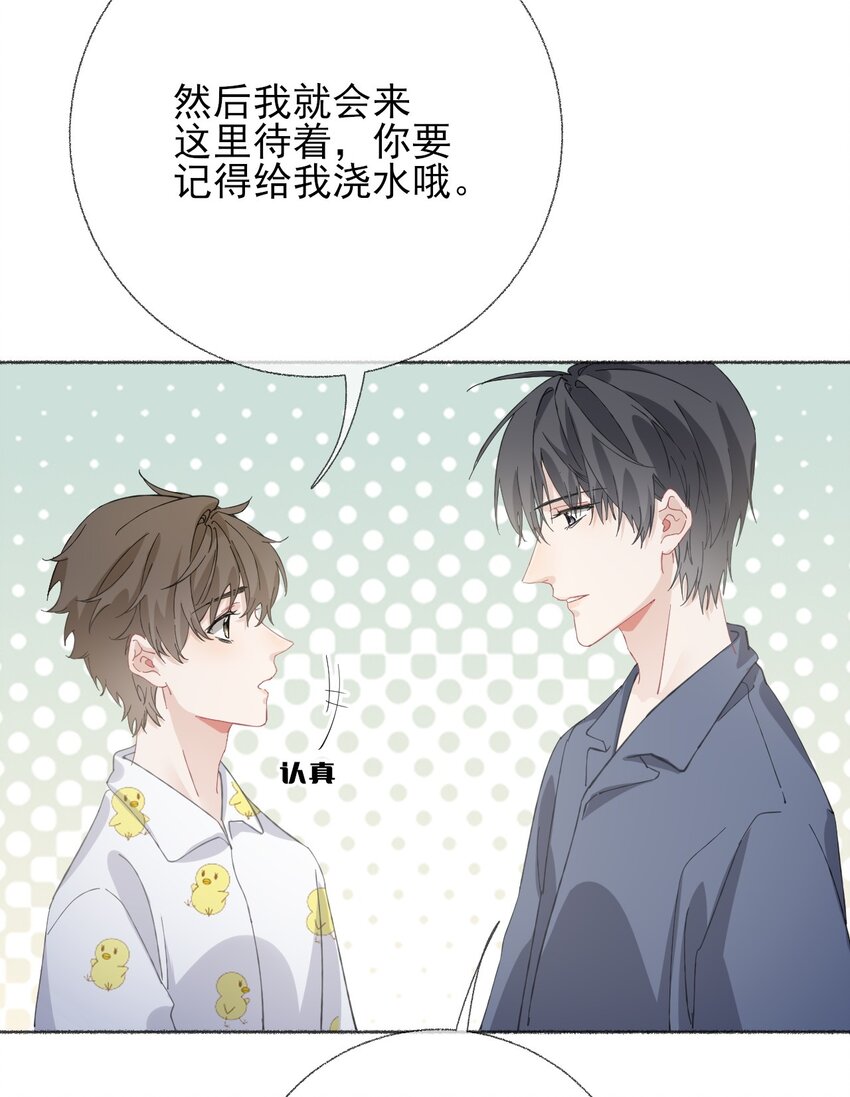 038我的分快扣完了24