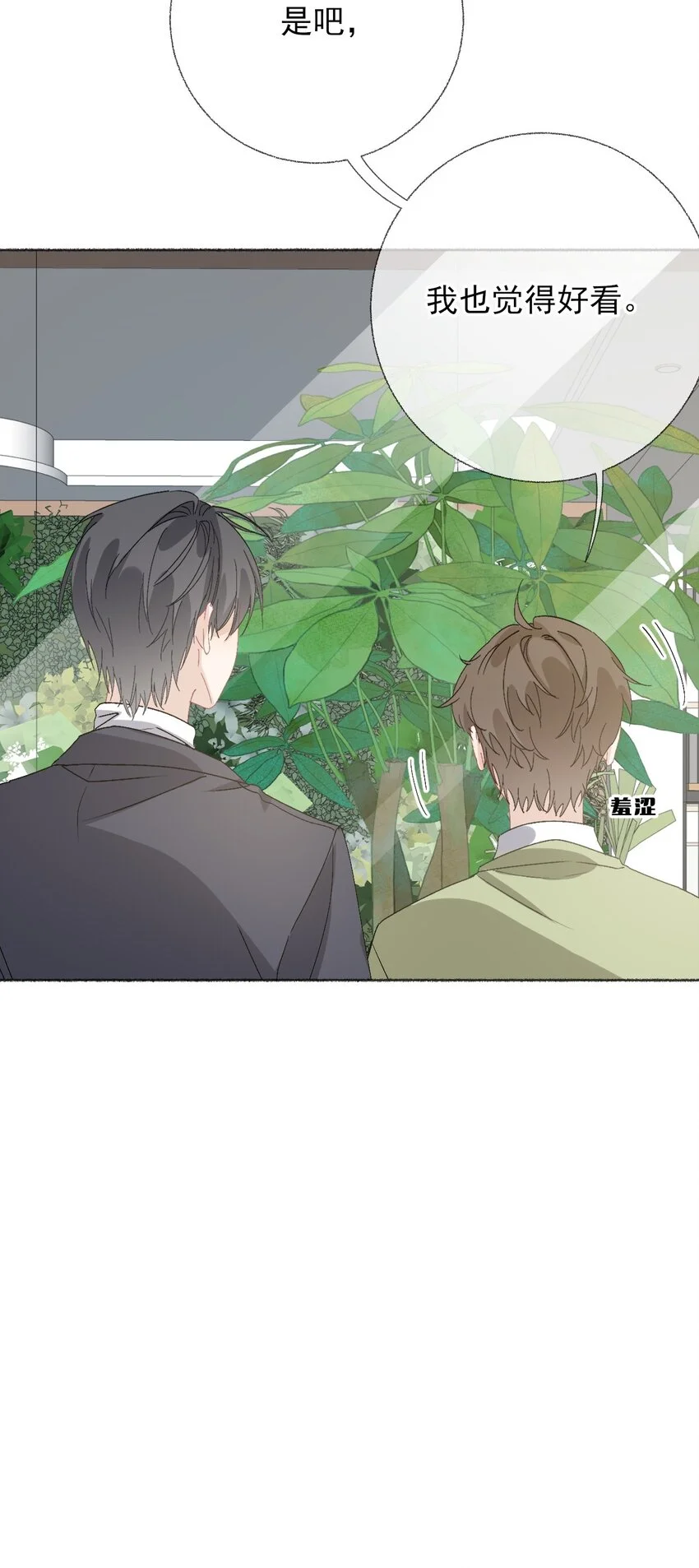 039那棵树好看吗？48
