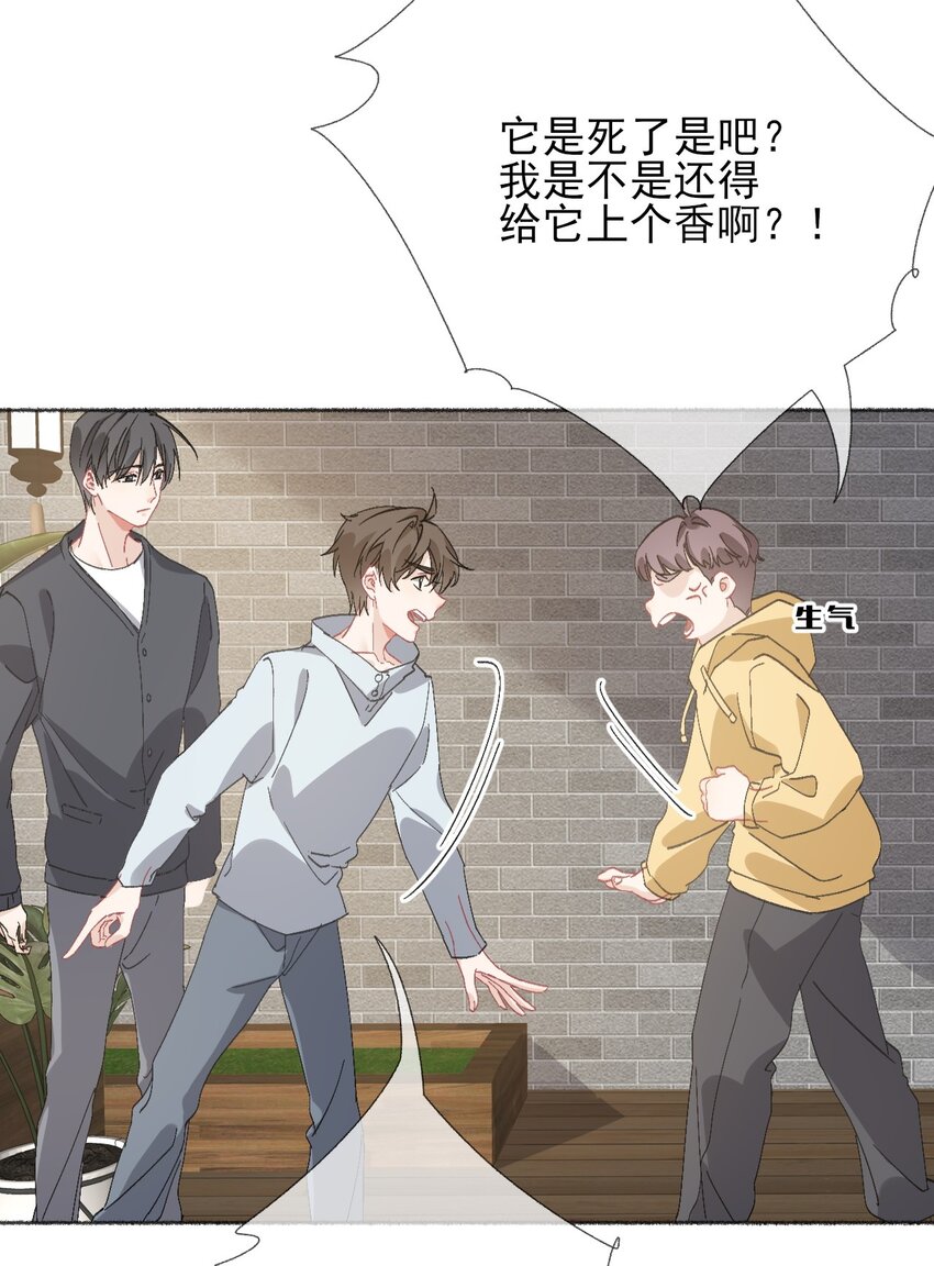 048 花盆“死”了27