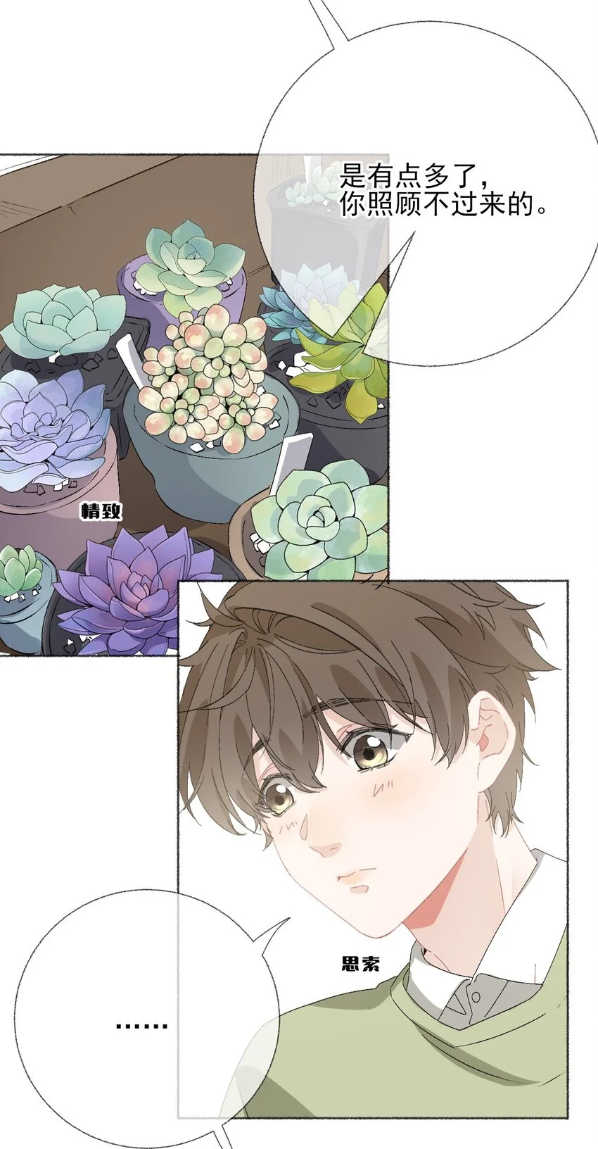 039那棵树好看吗？33
