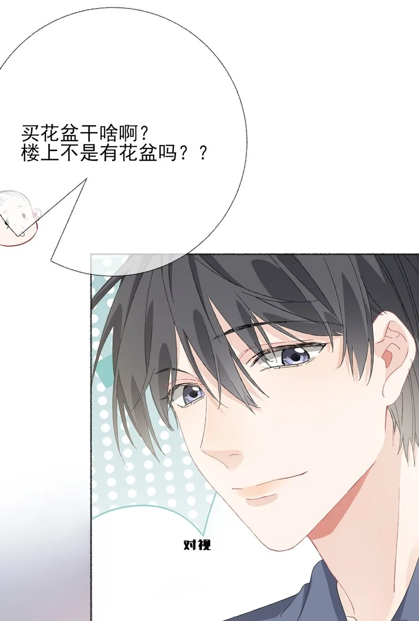 039那棵树好看吗？11