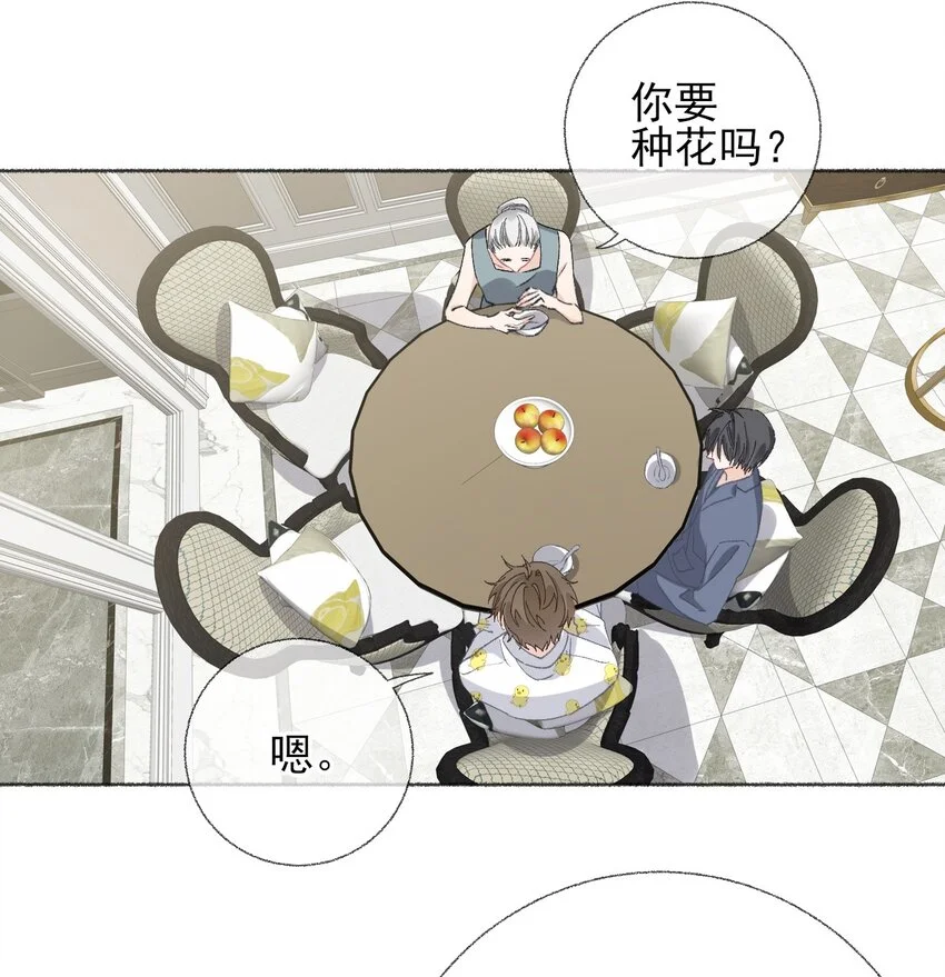 039那棵树好看吗？13