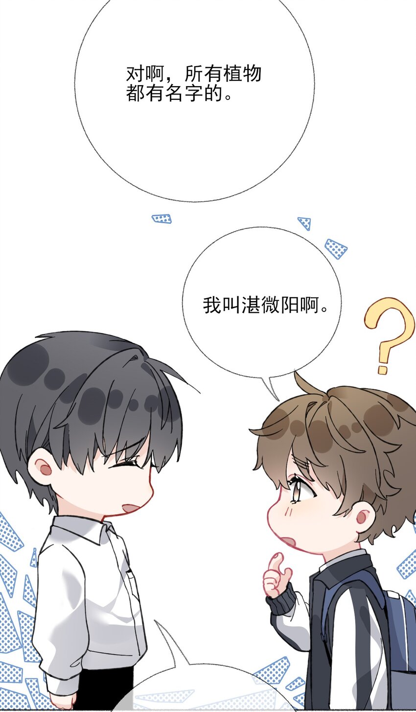 024 我会变成一棵植物38