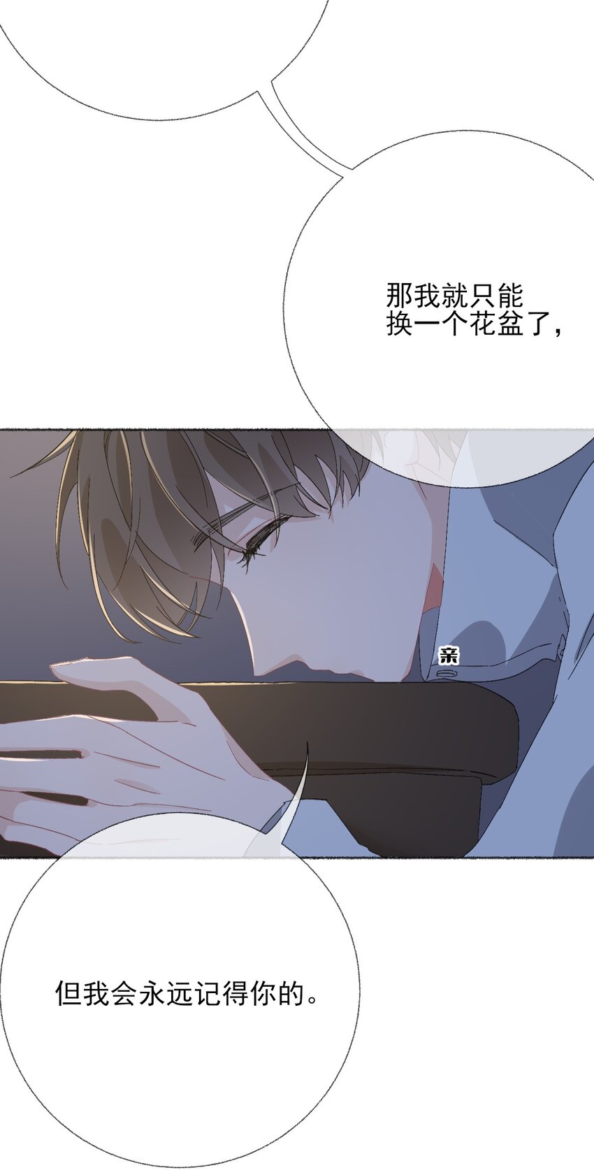 048 花盆“死”了40
