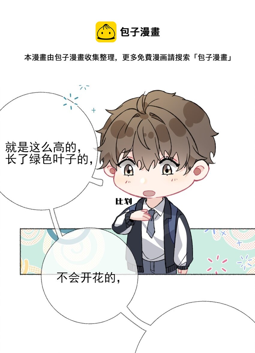 024 我会变成一棵植物36