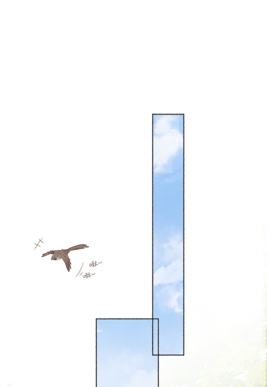 048 花盆“死”了41