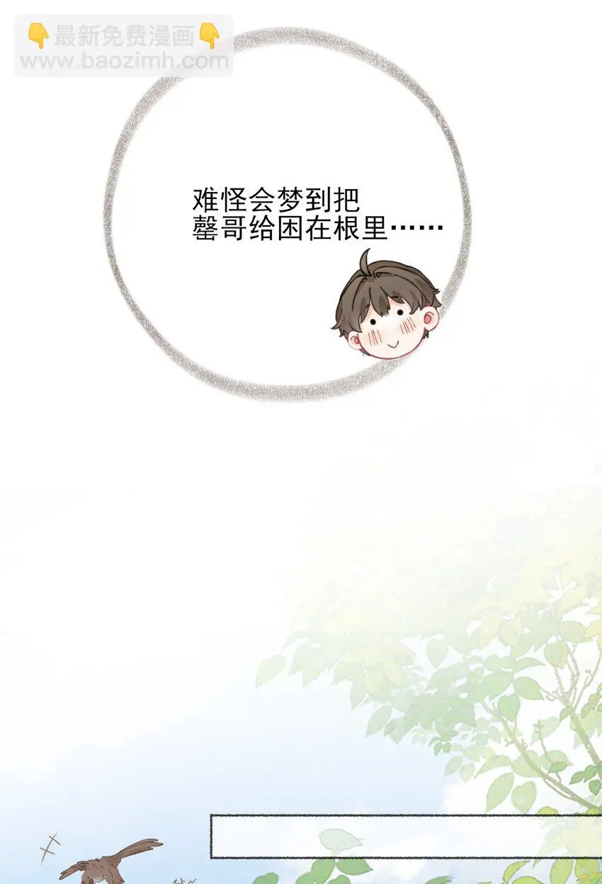 039那棵树好看吗？7