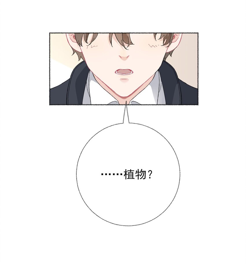 024 我会变成一棵植物34