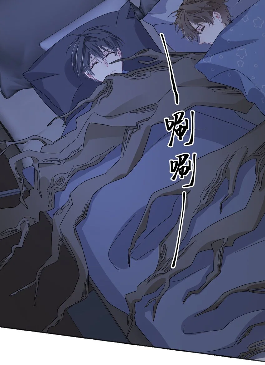 039那棵树好看吗？3