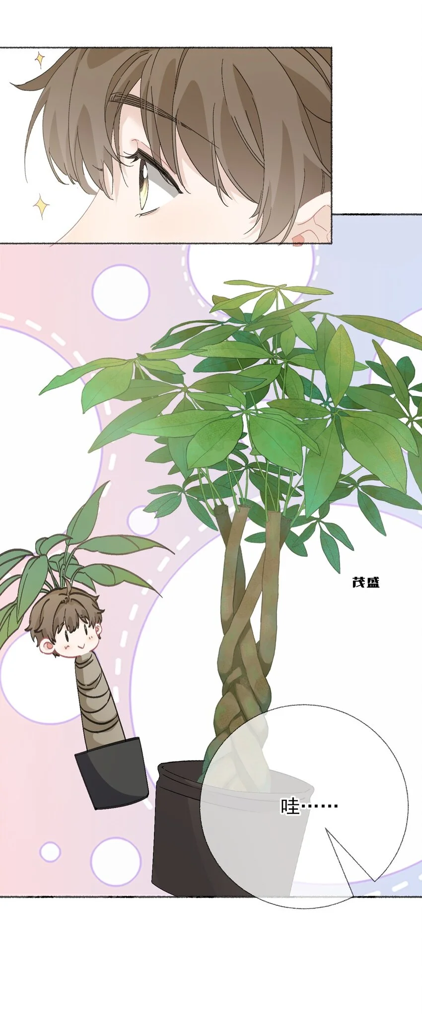 039那棵树好看吗？42
