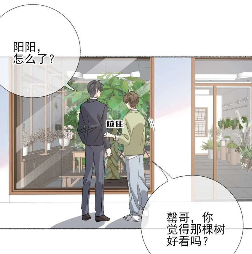 039那棵树好看吗？43