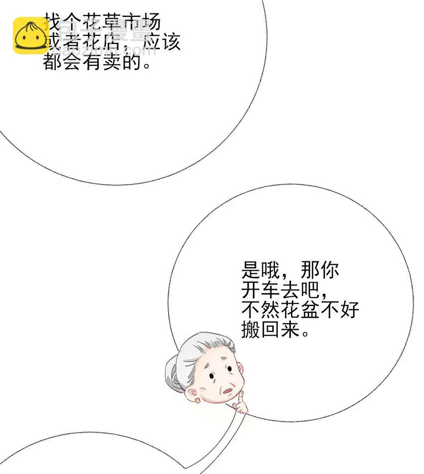 039那棵树好看吗？16