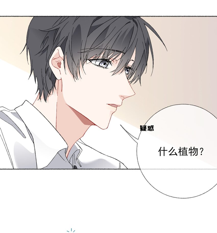 024 我会变成一棵植物35