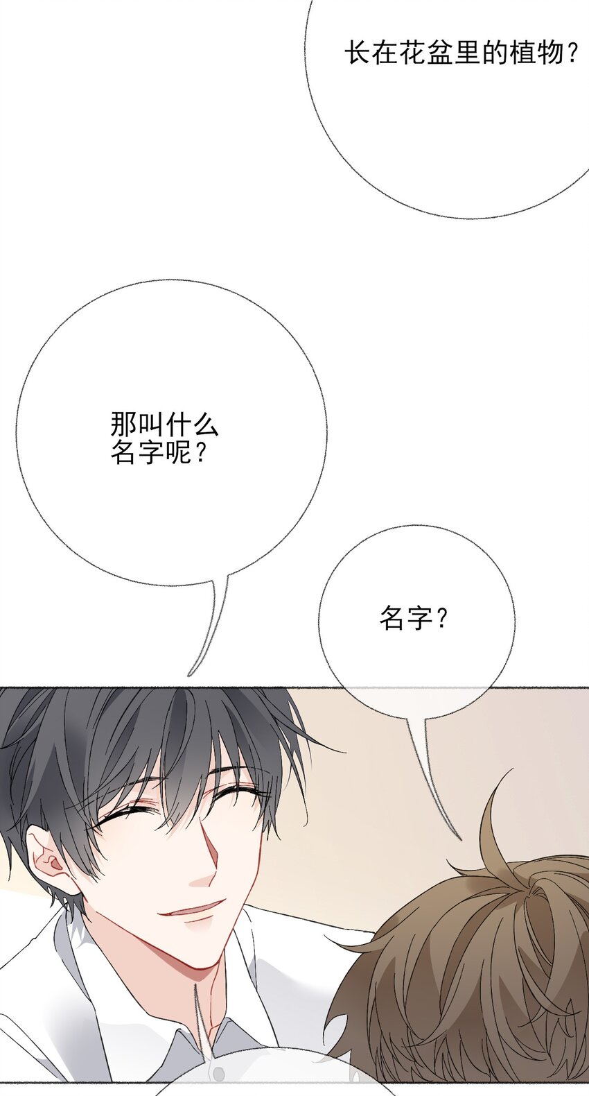 024 我会变成一棵植物37