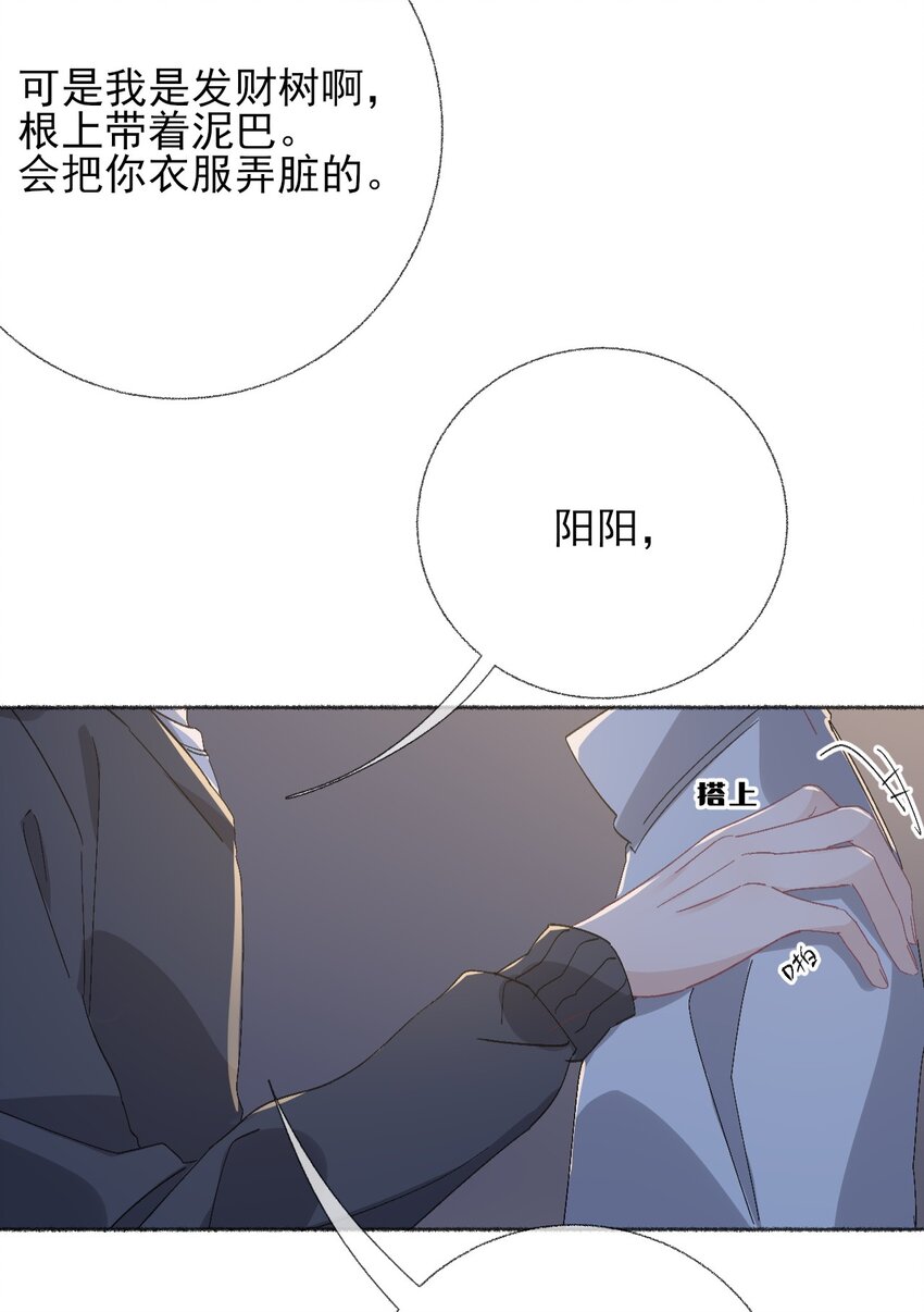 048 花盆“死”了35