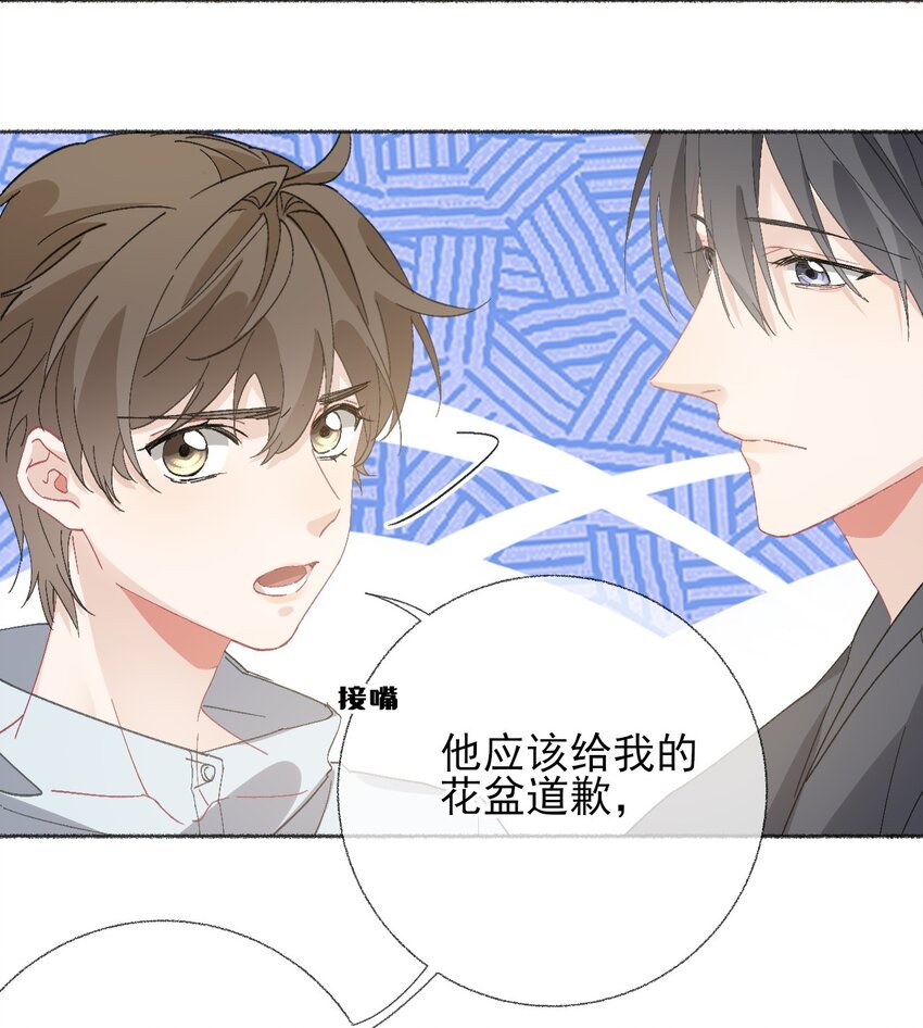 048 花盆“死”了25