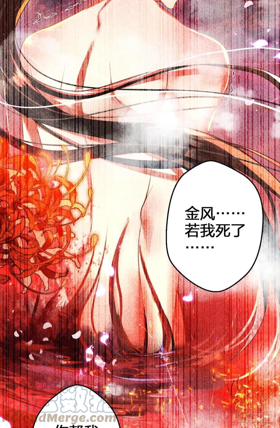 星星的告白6