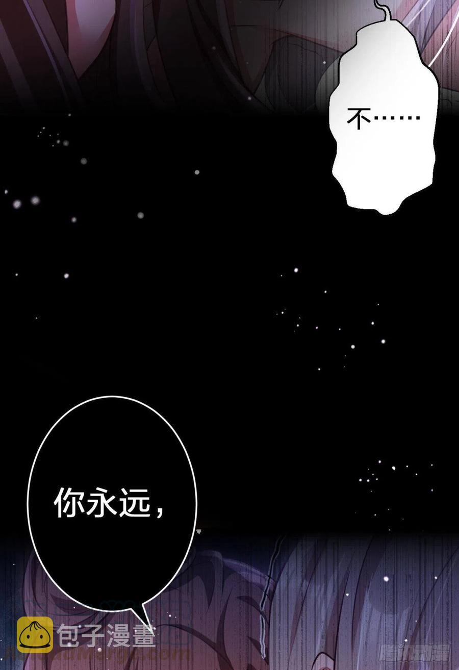 笼中看景，错付一场（上）30