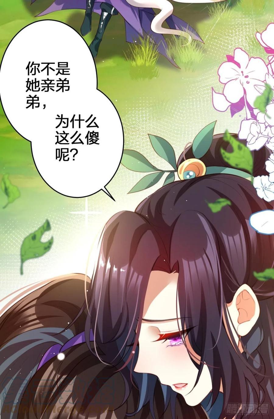 星星的告白3