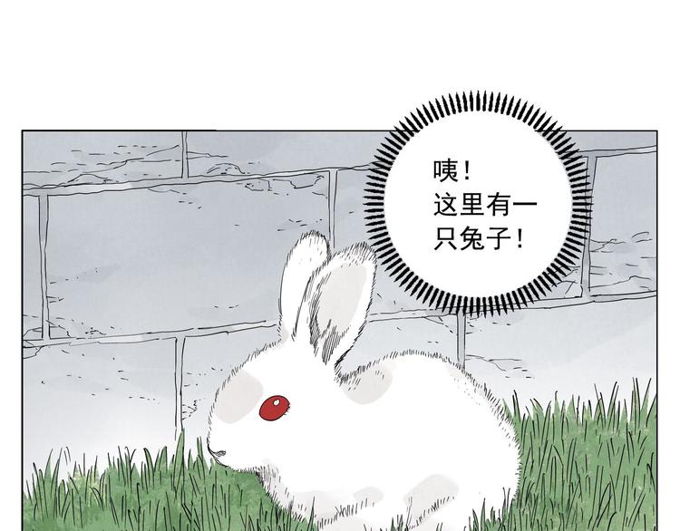 第74话 可恶的少白头男子6