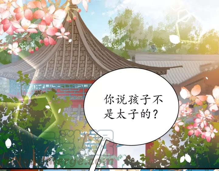 第69话 孩子不是太子的？?4