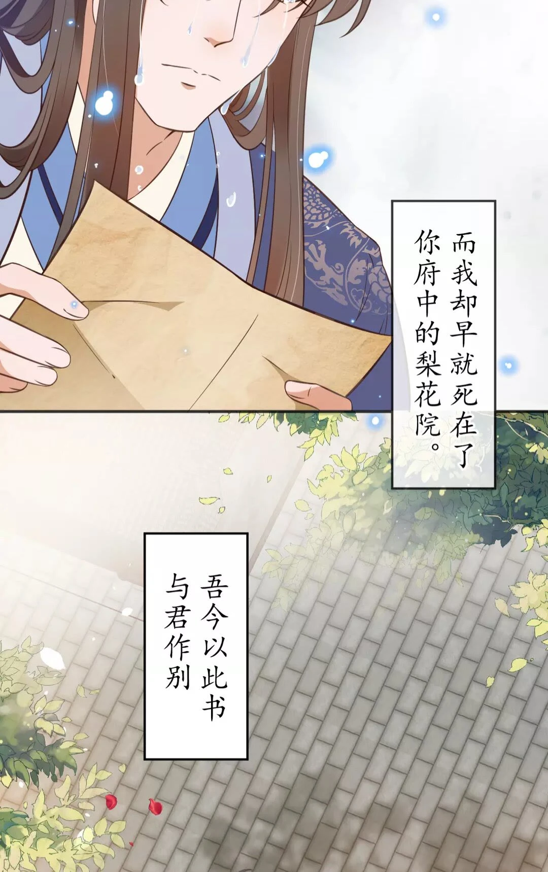 完结篇 一别两宽25