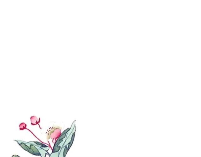 第39话 三个女人一台戏8