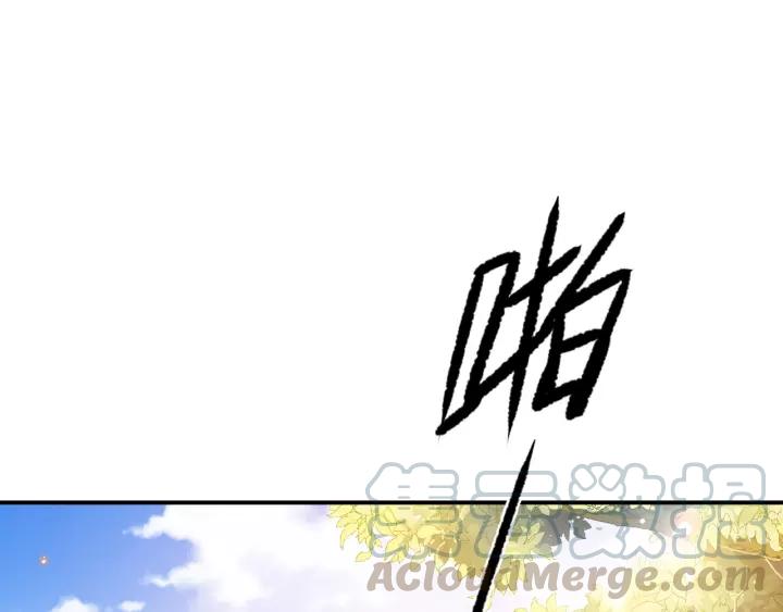 第66话 主动挑衅4