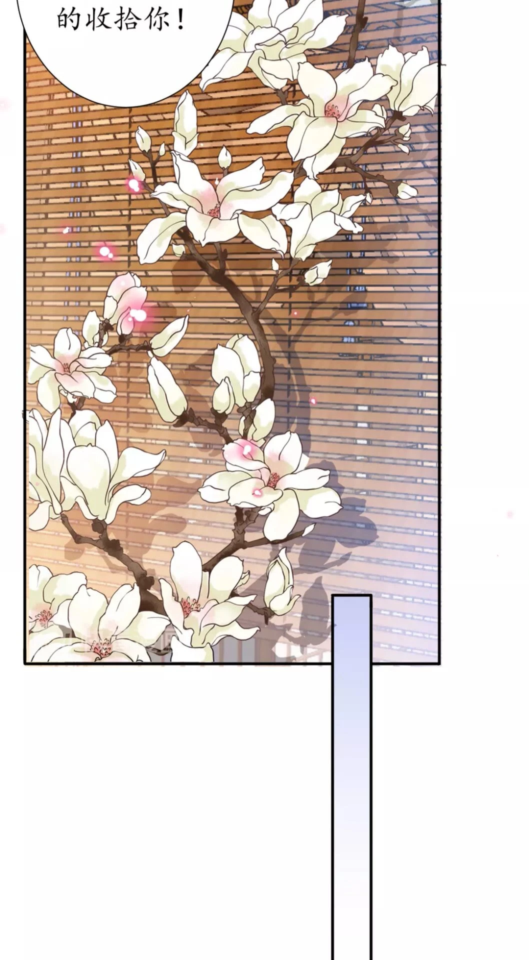 完结篇 一别两宽43