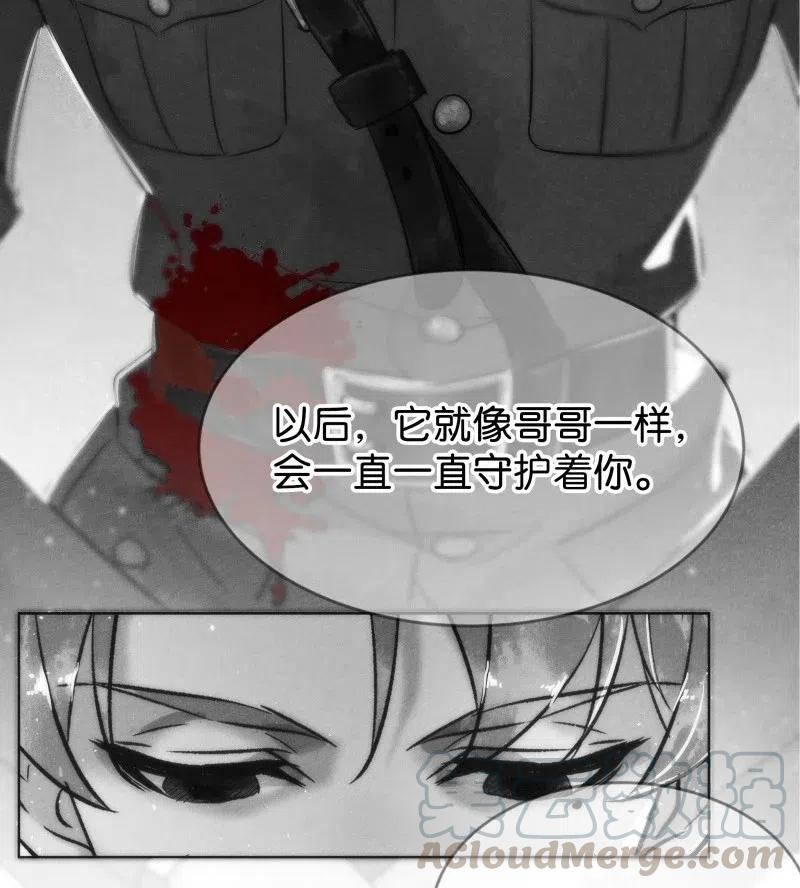 82 似是故人归1739