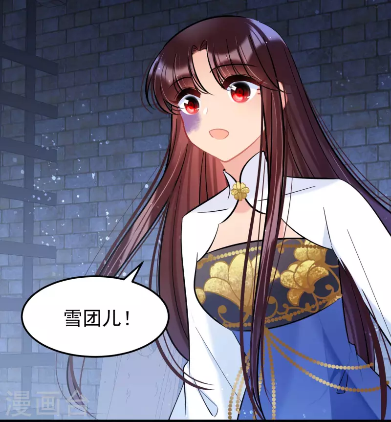 最终话 是走是留？6