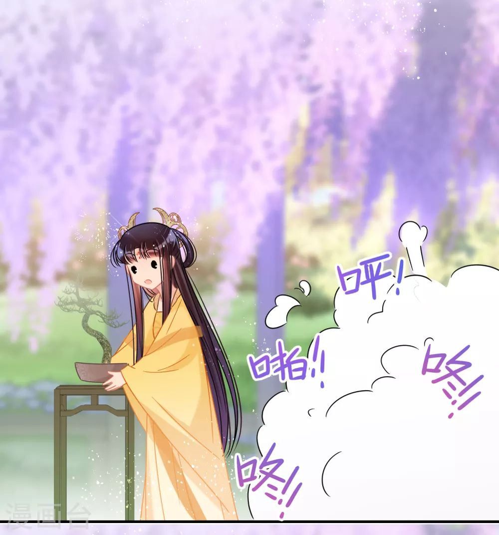 第33话3 一宫不容二傻16