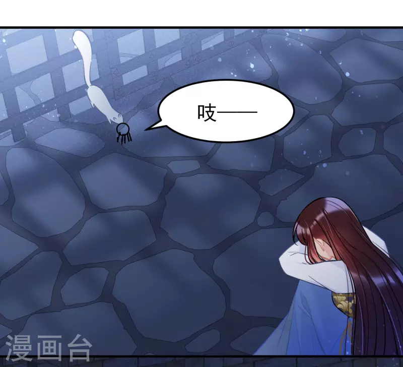 最终话是走是留？5