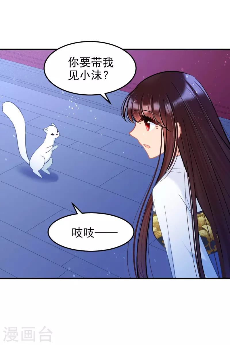 最终话 是走是留？10