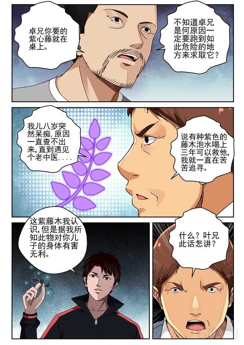 43 紫心藤8