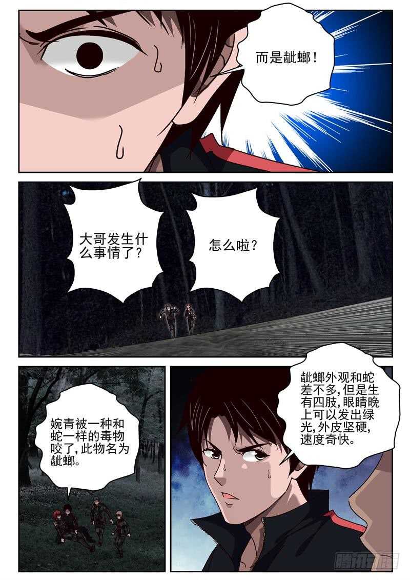 54 龇螂8