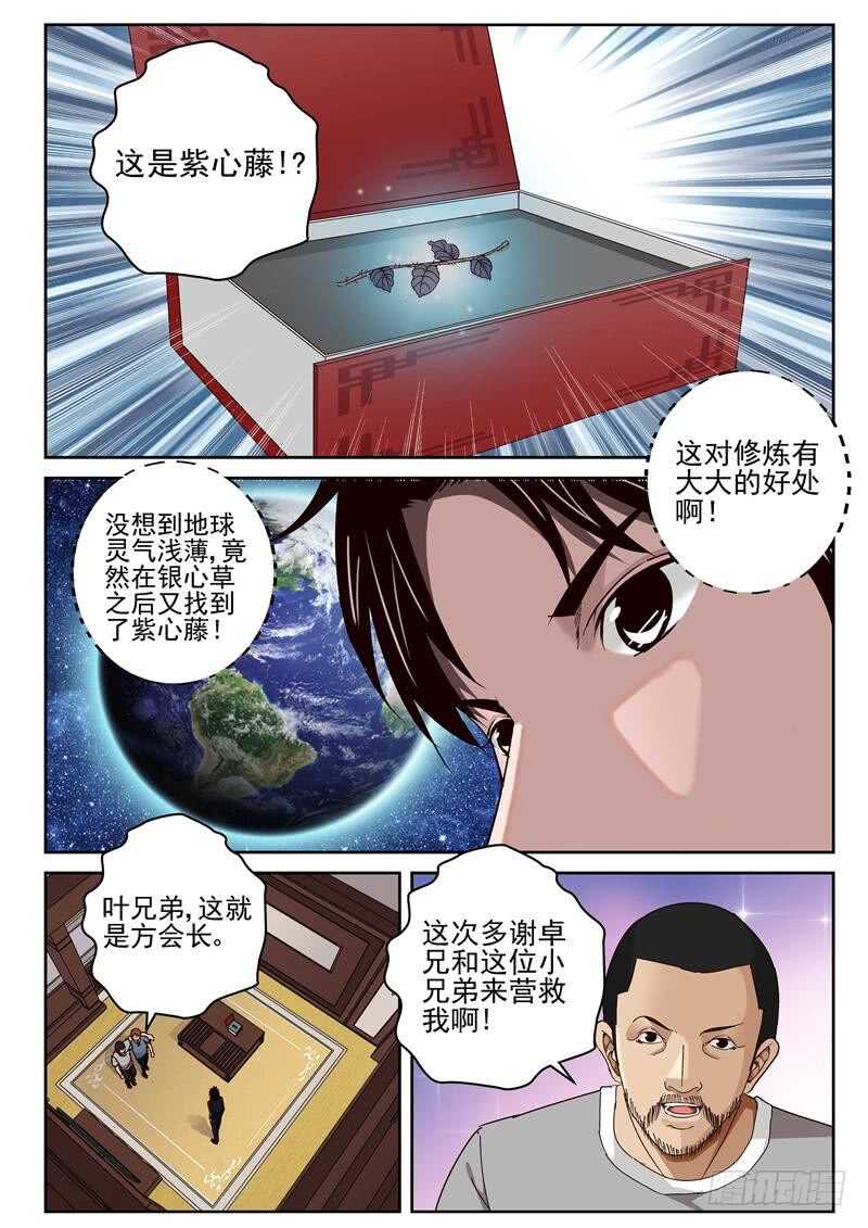 43 紫心藤7