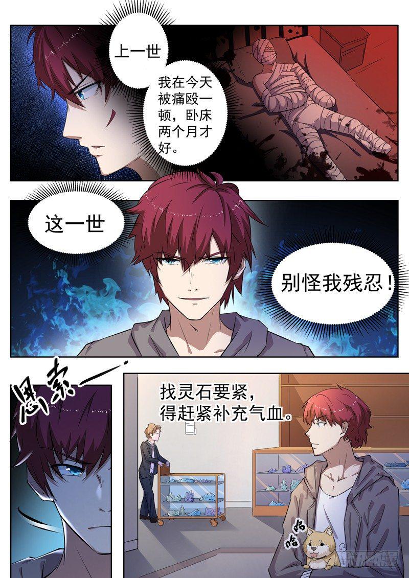 第五话 赌石对决8
