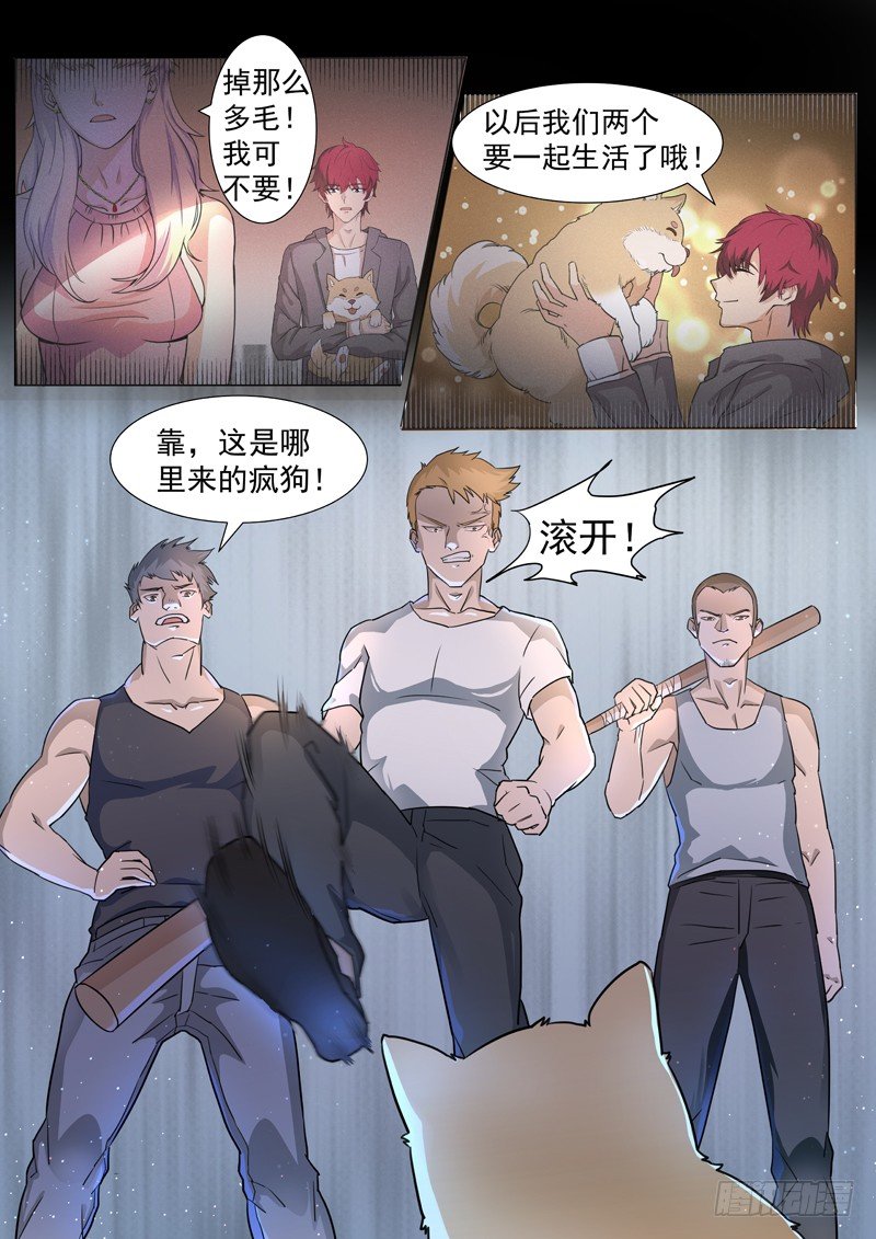 第二话 忠犬花卷2