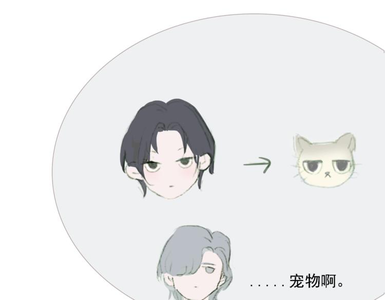 心理医生和猫猫6