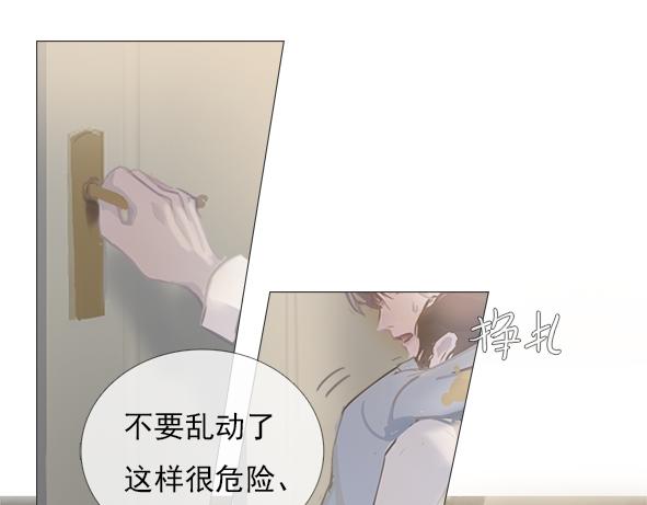 第4话  这是养了一只野猫啊17