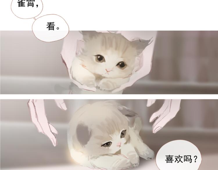 心理医生和猫猫8