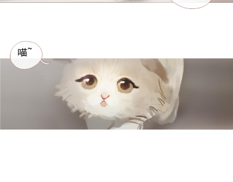 心理医生和猫猫9