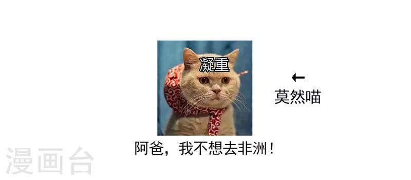 第138话 贴~身~亲卫！52