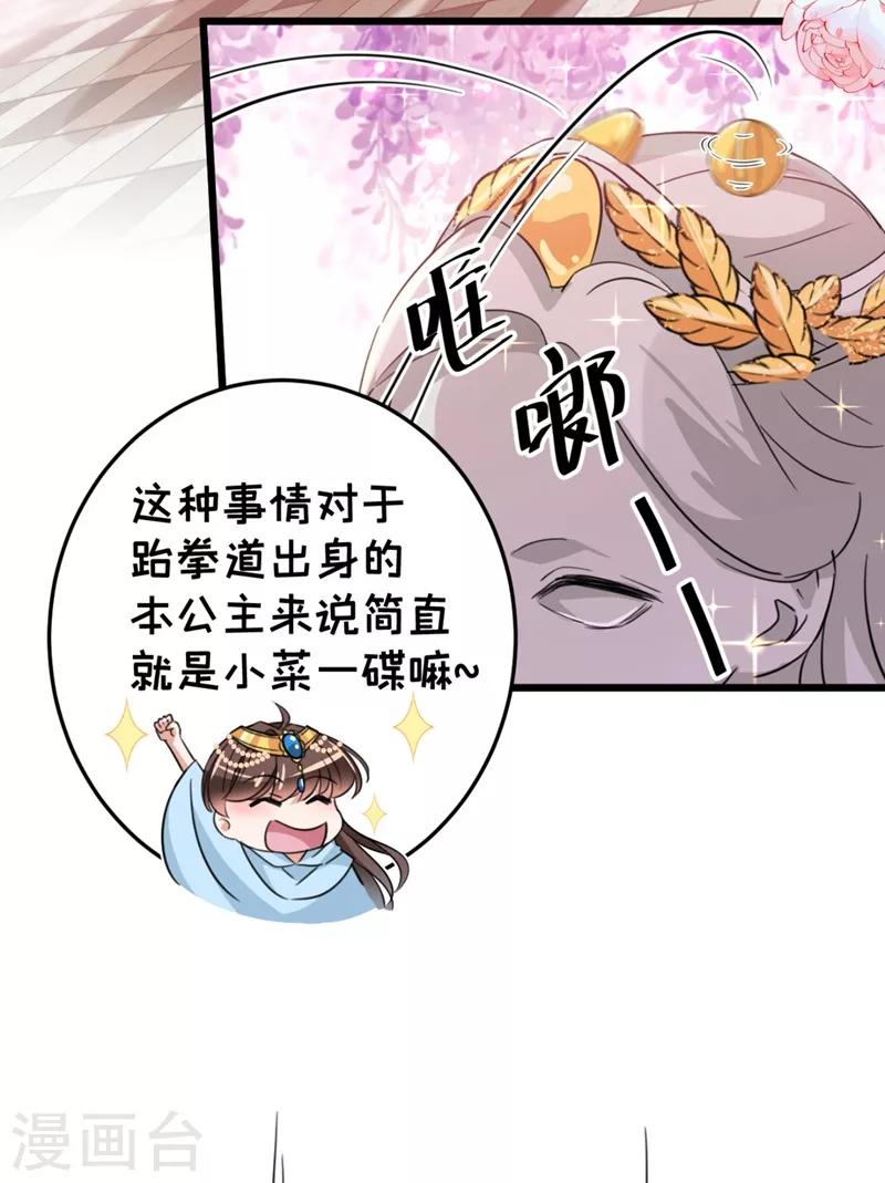 第242话 他才是真驸马？！28